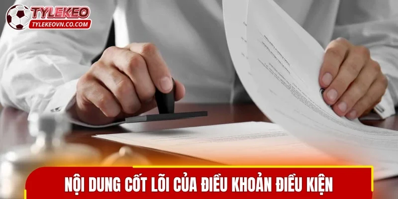 Nội dung cốt lõi của chính sách điều khoản điều kiện
