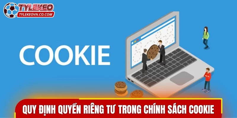 Quy định về quyền riêng tư trong chính sách cookie