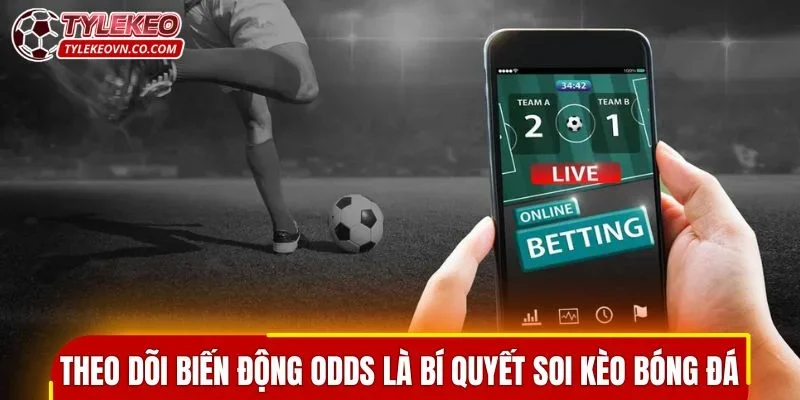 Theo dõi biến động odds là bí quyết soi kèo bóng đá