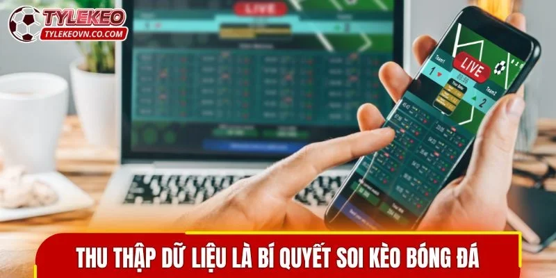 Thu thập dữ liệu là bí quyết soi kèo bóng đá