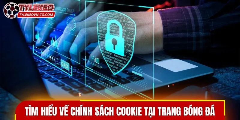 Tìm hiểu về chính sách cookie tại chuyên trang bóng đá